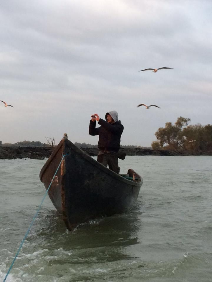 Pestisori - 1122290711865970714301485304180404865732081n.jpg